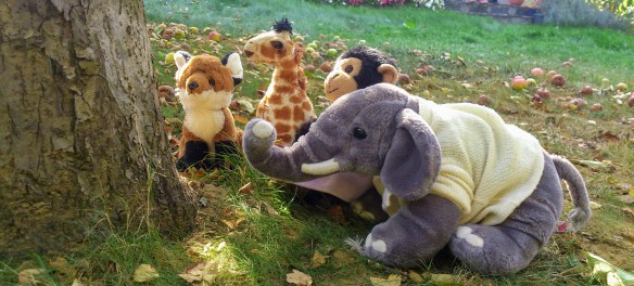 Wie plukt het hoogste.JPG